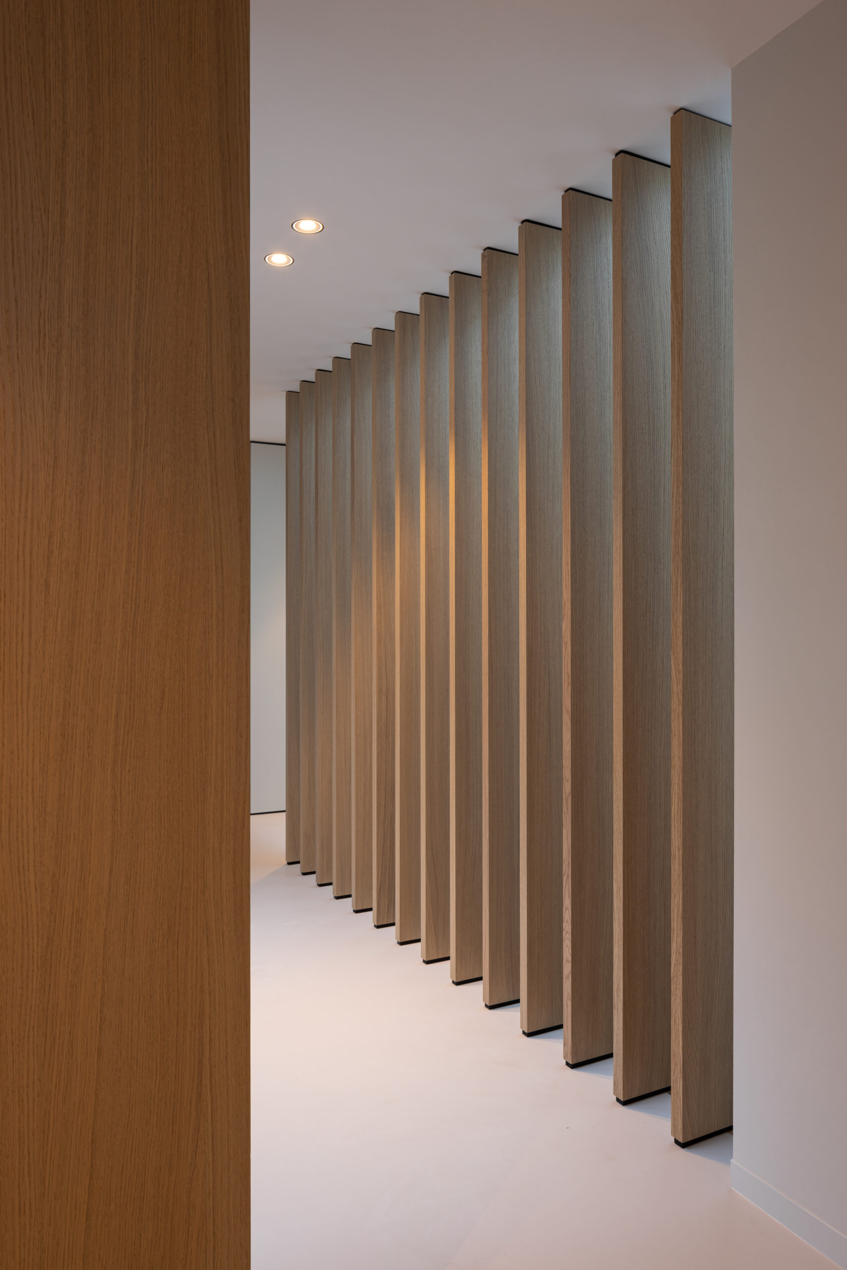 Lamellenwand modern interieur