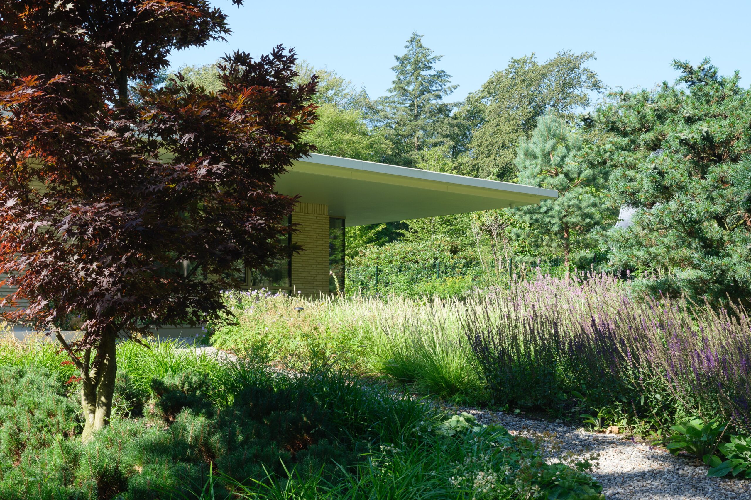 Moderne bungalow in het groen